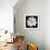 White Cosmos 3-Magda Indigo-Framed Photographic Print displayed on a wall