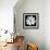 White Cosmos 3-Magda Indigo-Framed Photographic Print displayed on a wall