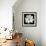 White Cosmos 3-Magda Indigo-Framed Photographic Print displayed on a wall