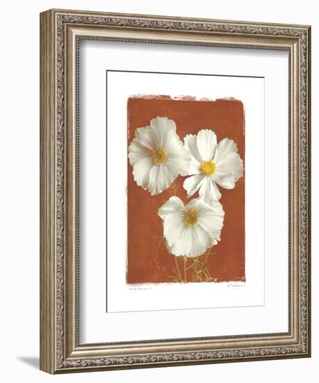 White Cosmos I-Amy Melious-Framed Premium Giclee Print