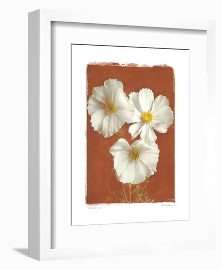 White Cosmos I-Amy Melious-Framed Premium Giclee Print