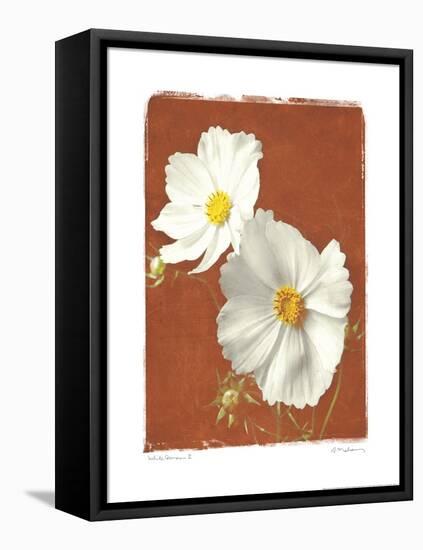 White Cosmos II-Amy Melious-Framed Stretched Canvas