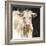 White Cow on Black-Silvia Vassileva-Framed Art Print