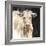 White Cow on Black-Silvia Vassileva-Framed Art Print