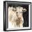 White Cow on Black-Silvia Vassileva-Framed Art Print