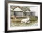 White Cow-Jennifer Pugh-Framed Photo