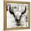 White Cowskull-null-Framed Stretched Canvas