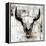 White Cowskull-null-Framed Stretched Canvas