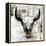 White Cowskull-null-Framed Stretched Canvas