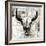 White Cowskull-null-Framed Art Print