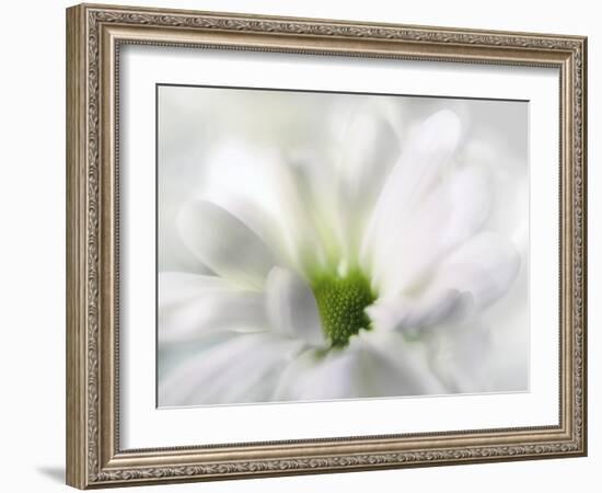 White Creamy Green-Heidi Westum-Framed Photographic Print