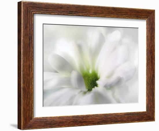 White Creamy Green-Heidi Westum-Framed Photographic Print