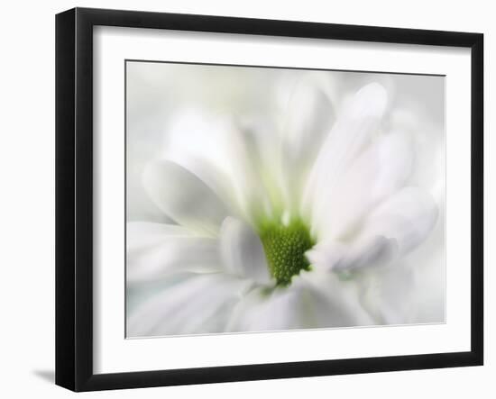 White Creamy Green-Heidi Westum-Framed Photographic Print