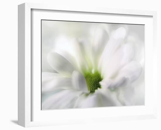 White Creamy Green-Heidi Westum-Framed Photographic Print