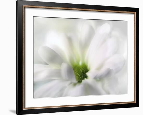 White Creamy Green-Heidi Westum-Framed Photographic Print