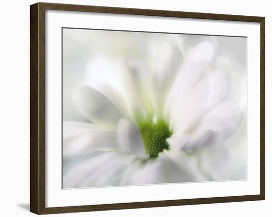 White Creamy Green-Heidi Westum-Framed Photographic Print