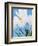 White crocuses-Ada Summer-Framed Photographic Print