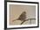 White-Crowned Sparrow (Zonotrichia Leucophrys)-James Hager-Framed Photographic Print