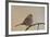 White-Crowned Sparrow (Zonotrichia Leucophrys)-James Hager-Framed Photographic Print