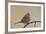 White-Crowned Sparrow (Zonotrichia Leucophrys)-James Hager-Framed Photographic Print