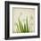 White Daffodil Garden-Judy Stalus-Framed Art Print