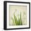 White Daffodil Garden-Judy Stalus-Framed Art Print