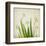 White Daffodil Garden-Judy Stalus-Framed Art Print