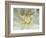 White Dahlia Close-up-Janell Davidson-Framed Photographic Print