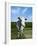 White Dairy Cow, Iceland-null-Framed Photographic Print