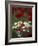 White Daisies and Red Poppies, near Crosby, Tennessee, USA-Adam Jones-Framed Photographic Print