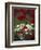 White Daisies and Red Poppies, near Crosby, Tennessee, USA-Adam Jones-Framed Photographic Print