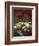 White Daisies and Red Poppies, near Crosby, Tennessee, USA-Adam Jones-Framed Photographic Print