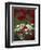 White Daisies and Red Poppies, near Crosby, Tennessee, USA-Adam Jones-Framed Photographic Print