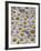 White Daisy Flowers-David Nunuk-Framed Photographic Print