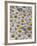 White Daisy Flowers-David Nunuk-Framed Photographic Print