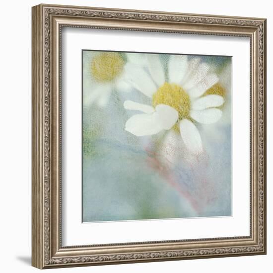 White Daisy I-Judy Stalus-Framed Art Print