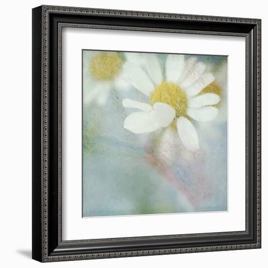 White Daisy I-Judy Stalus-Framed Art Print