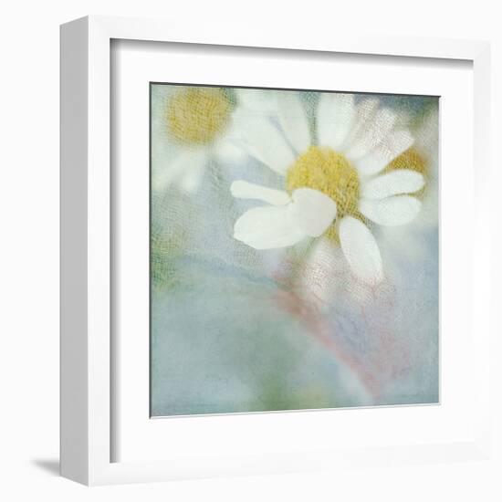 White Daisy I-Judy Stalus-Framed Art Print