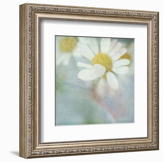 White Daisy I-Judy Stalus-Framed Art Print