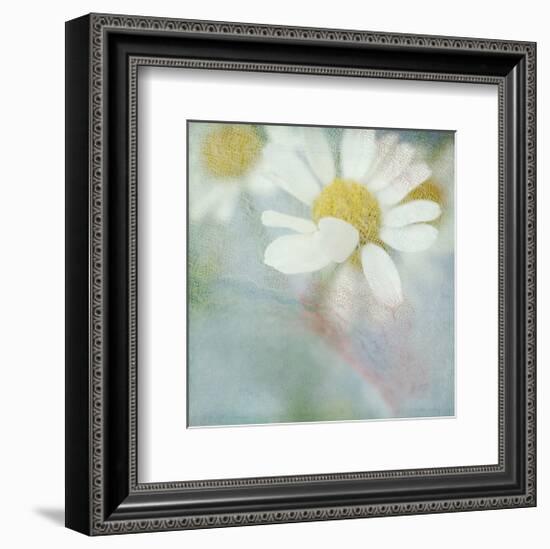 White Daisy I-Judy Stalus-Framed Art Print