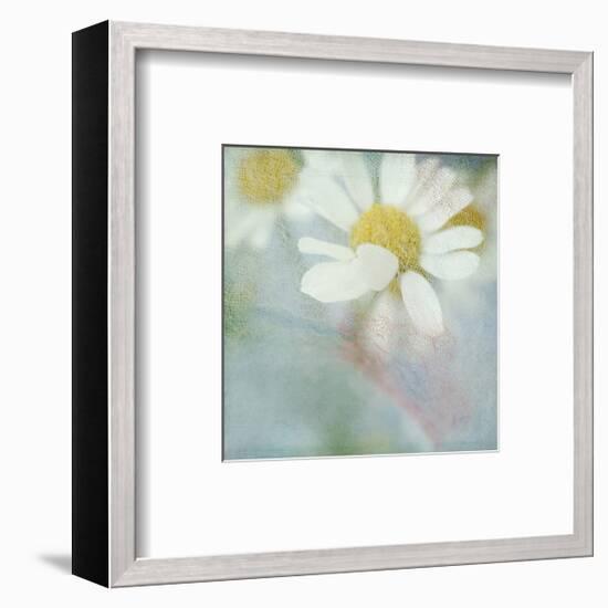 White Daisy I-Judy Stalus-Framed Art Print