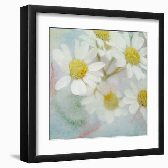 White Daisy II-Judy Stalus-Framed Art Print