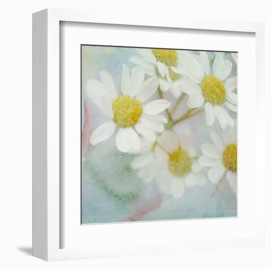 White Daisy II-Judy Stalus-Framed Art Print