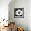 White Daisy-Sabine Jacobs-Framed Photographic Print displayed on a wall