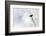 White Daisy-Ursula Abresch-Framed Photographic Print