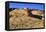 White Domes area, Valley of Fire State Park, Overton, Nevada, United States of America, North Ameri-Richard Cummins-Framed Premier Image Canvas