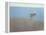 White Dory-John Rufo-Framed Stretched Canvas