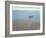 White Dory-John Rufo-Framed Art Print