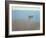 White Dory-John Rufo-Framed Art Print