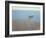 White Dory-John Rufo-Framed Art Print